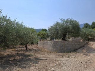 TERRENO CON VIVIENDA EN MORATALLA