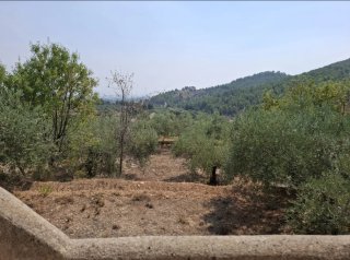 TERRENO CON VIVIENDA EN MORATALLA