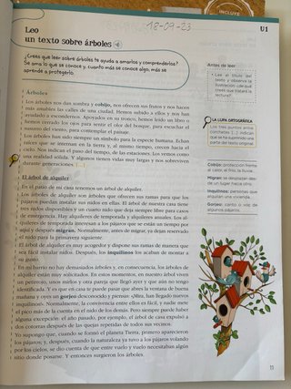 Lengua 5 Primaria