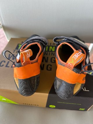 Pies de gato Boreal Crux