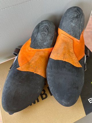 Pies de gato Boreal Crux