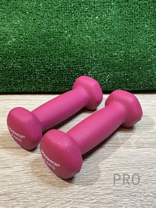 Juego de 2 Mancuernas 0,5KG SONGMICS