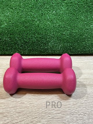 Juego de 2 Mancuernas 0,5KG SONGMICS