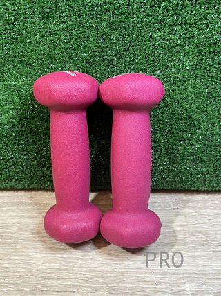 Juego de 2 Mancuernas 0,5KG SONGMICS
