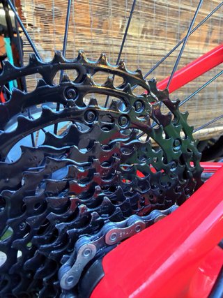 ORBEA OIZ CARBONO 29” FOX