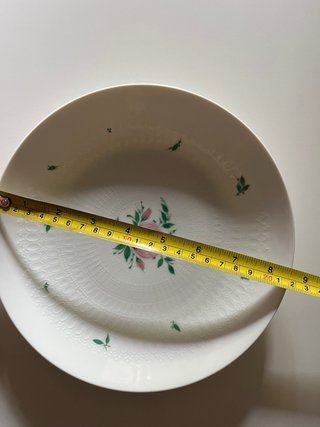 Piatto porcellana rosa e foglie verdi
