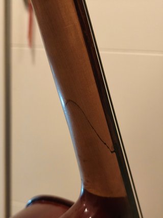 Violonchelo Stentor 1/2