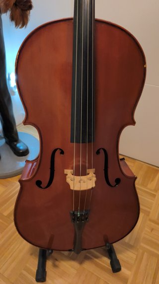 Violonchelo Stentor 1/2