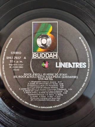 Sha Na Na Rock & Roll Is Here To Stay! LP