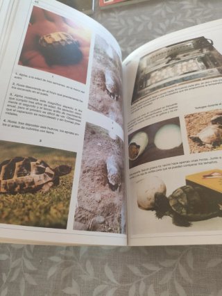 Libro Tortugas terrestres mediterráneas