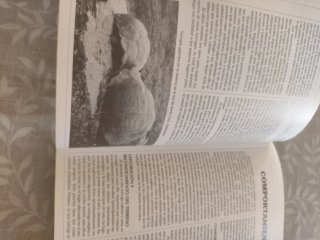 Libro Tortugas terrestres mediterráneas
