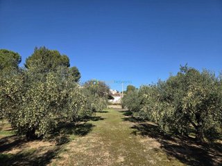 Terreno en venta en Benigánim