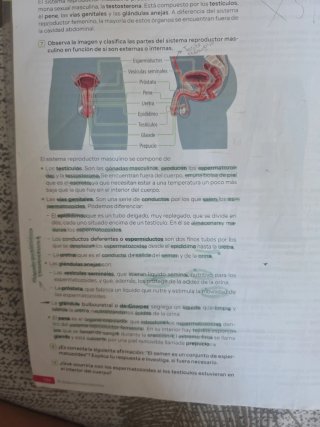 Biología y Geología. 3 Secundaria. Revuela