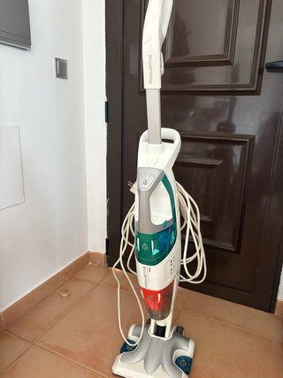 Aspiradora vertical Rowenta