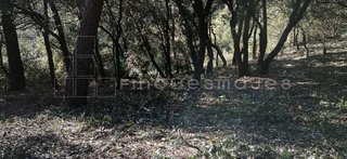 Solar en venta en Vacarisses