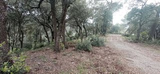 Solar en venta en Vacarisses