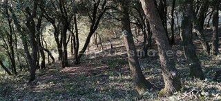 Solar en venta en Vacarisses