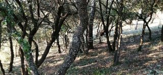 Solar en venta en Vacarisses
