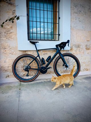 Ruedas Gravel DT180 ceramic Garantia Ilimitada