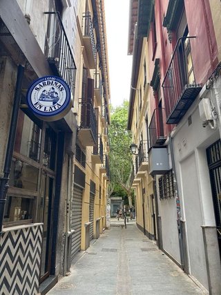Piso en alquiler en Centro - Sagrario en Granada
