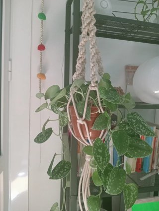 Colgador de macramé para plantas