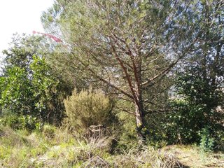 Solar en venta en Urbanitzacions en Lloret de Mar