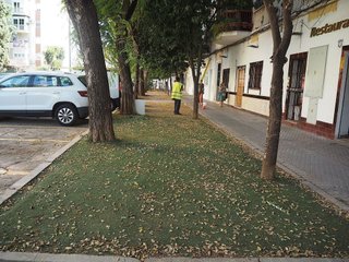 Local comercial en alquiler en Bami - Tabladilla - La Estrella en Sevilla