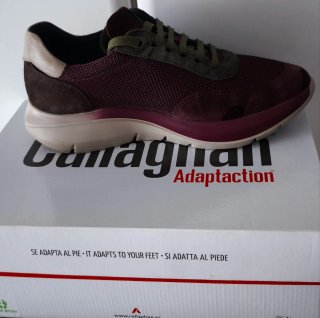 Zapatos Callaghan Mujer Morado/Verde