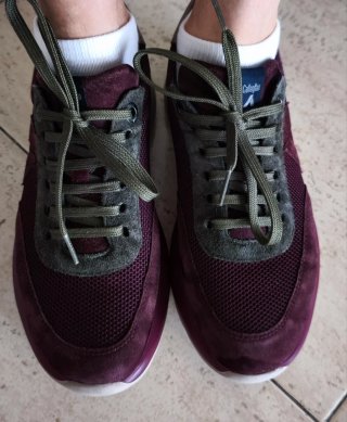 Zapatos Callaghan Mujer Morado/Verde