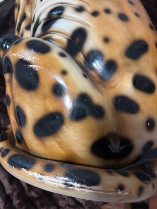 Figura Leopardo En Cerámica Decorativa
