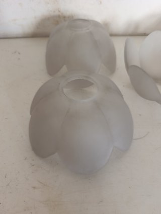 Lote 5 tulipas modernistas forma flor 6 pétalos