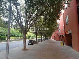 Piso en alquiler en El Plantinar - Felipe II - Tiro de Línea en Sevilla
