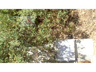 Solar en venta en Terrafortuna - Puig Vento en Vidreres