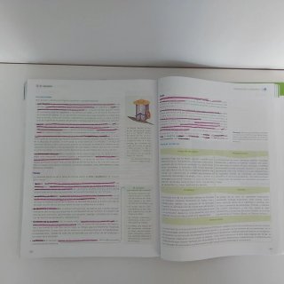 Lengua y Literatura, 1° Bachillerato