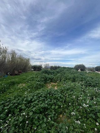 Nave industrial en venta en Sangonera la Verde en Murcia