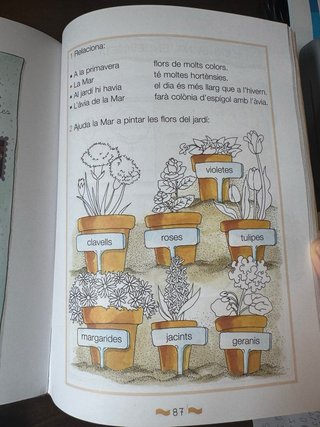 Lectures de La balena blanca 1