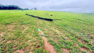 Terreno en venta en Carmona