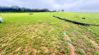 Terreno en venta en Carmona