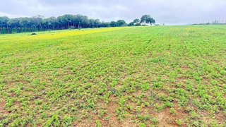 Terreno en venta en Carmona
