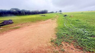 Terreno en venta en Carmona