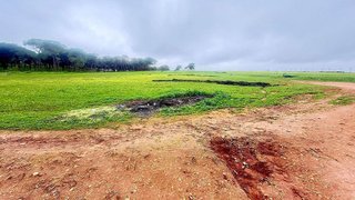 Terreno en venta en Carmona