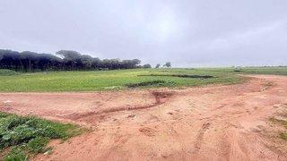 Terreno en venta en Carmona