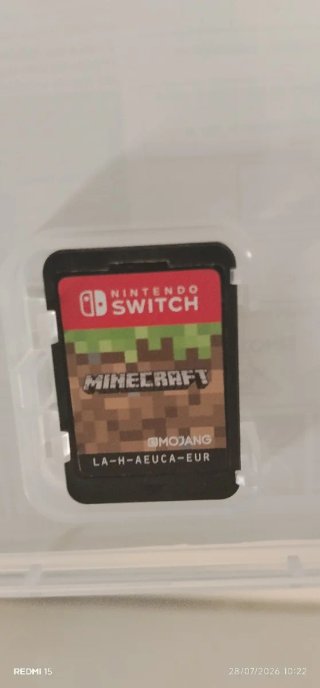 Minecraft Nintendo Switch