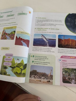 CIENCIAS DA NATUREZA 3 PRIMARIA CONSTRUINDO MUNDOS