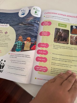 CIENCIAS DA NATUREZA 3 PRIMARIA CONSTRUINDO MUNDOS