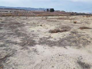 Terreno en venta en Cieza