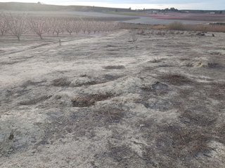 Terreno en venta en Cieza