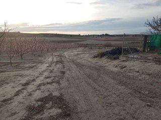 Terreno en venta en Cieza