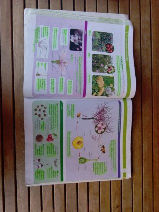 Biología y Geología 1 ESO : Proyecto construyen...