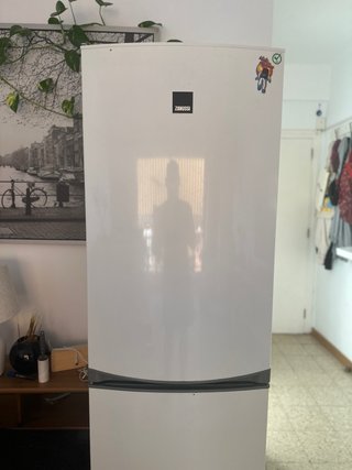 Nevera Zanussi 289L